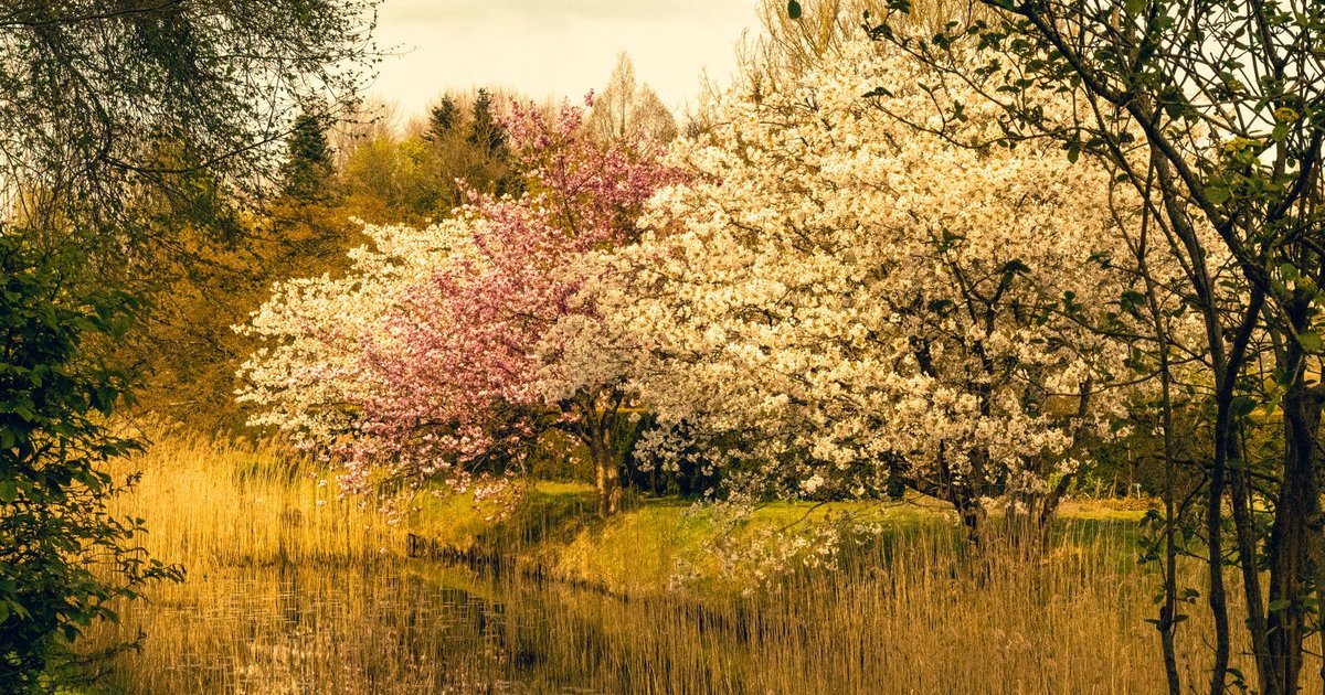 Month and Season Names: June, Summer, Autumn, August, and the Calendar Trend